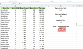 Cells representing total commission of Sarah Johnson in Excel.
