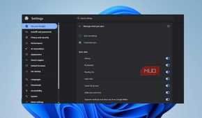 Chrome sync settings menu with Customize sync selected and all individual data toggles enabled