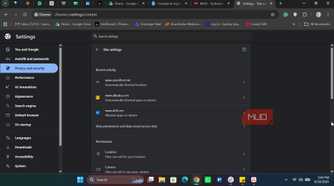 Chrome site privacy setting