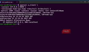 OpenSSL command to directly show the self-signed certificate error in bash