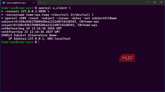 OpenSSL command to directly show the self-signed certificate error in bash