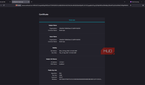 Cockpit self-signed certificate details in browser