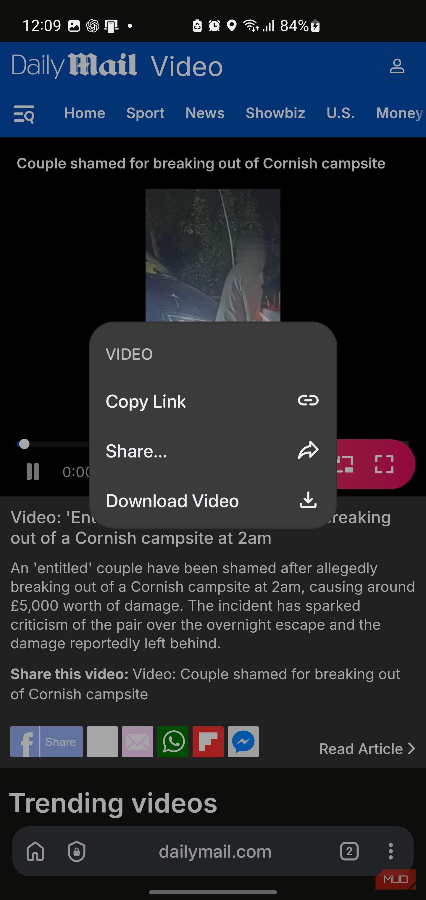 Кнопка скачивания видео в браузере Quetta