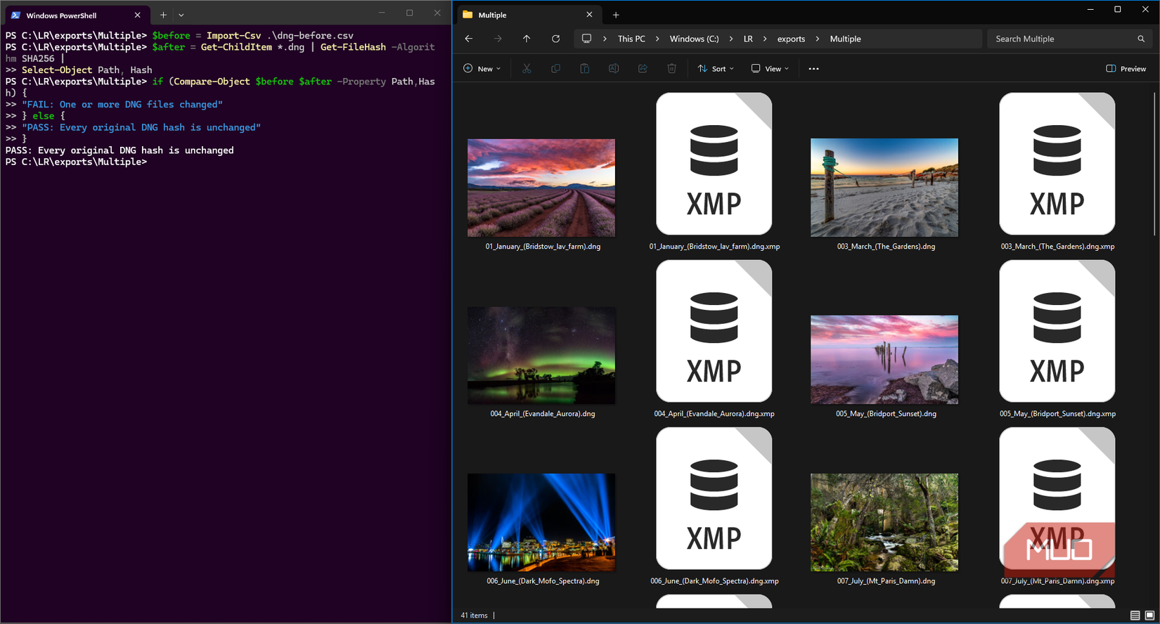 Darktable DNG import and SHA-256 hashes showing non-destructive import and editing