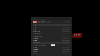 everything search