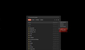 everything search