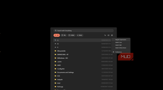 everything search