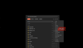 everything search