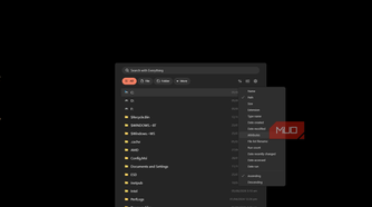 everything search