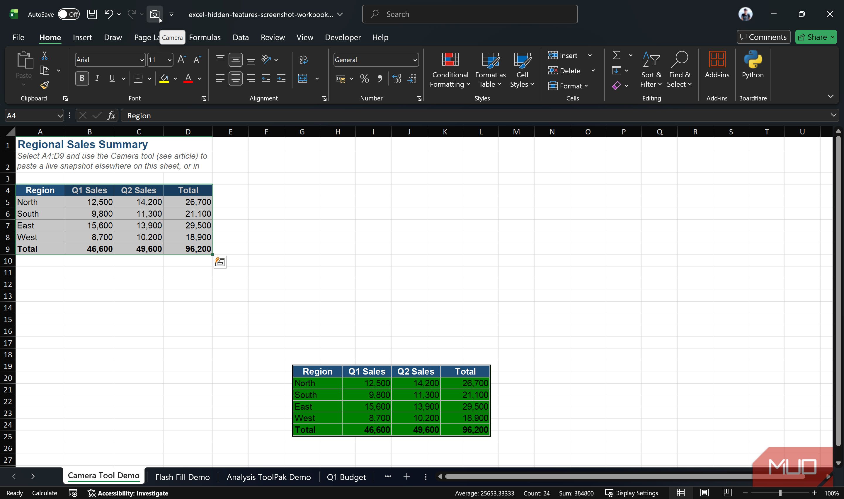 Excel window with range selected and camera tool highlighted.