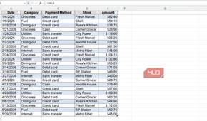 Expense sheet in Excel.