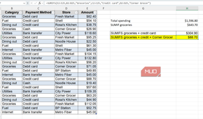 Expense sheet with sum of expenses for groceries from the corner grocer highlited in Excel.