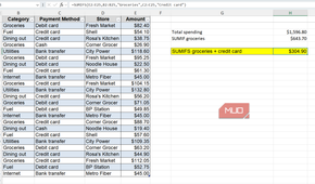 Expense sheet with sum of expenses for groceries paid with credit card highlited in Excel.