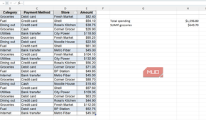 Expense sheet with total spending and total for groceries in Excel.