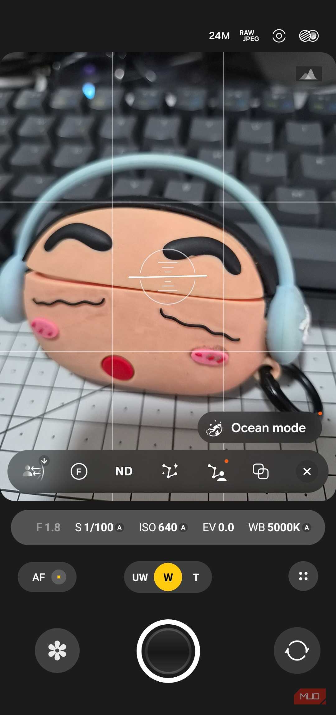 Expert RAW option in Camera app