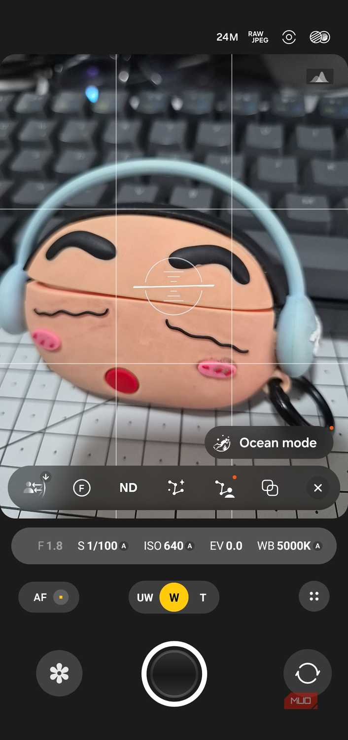 Expert RAW option in Camera app