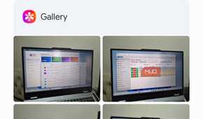 Gemini talking to Samsung Gallery app