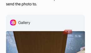 Gemini talking to Samsung Gallery