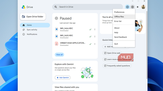 Google Drive app on Windows PC