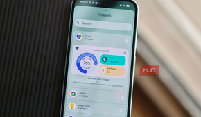 Google Health widget on Pixel 10a