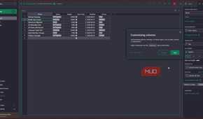 Gris table with column customization tooltip.
