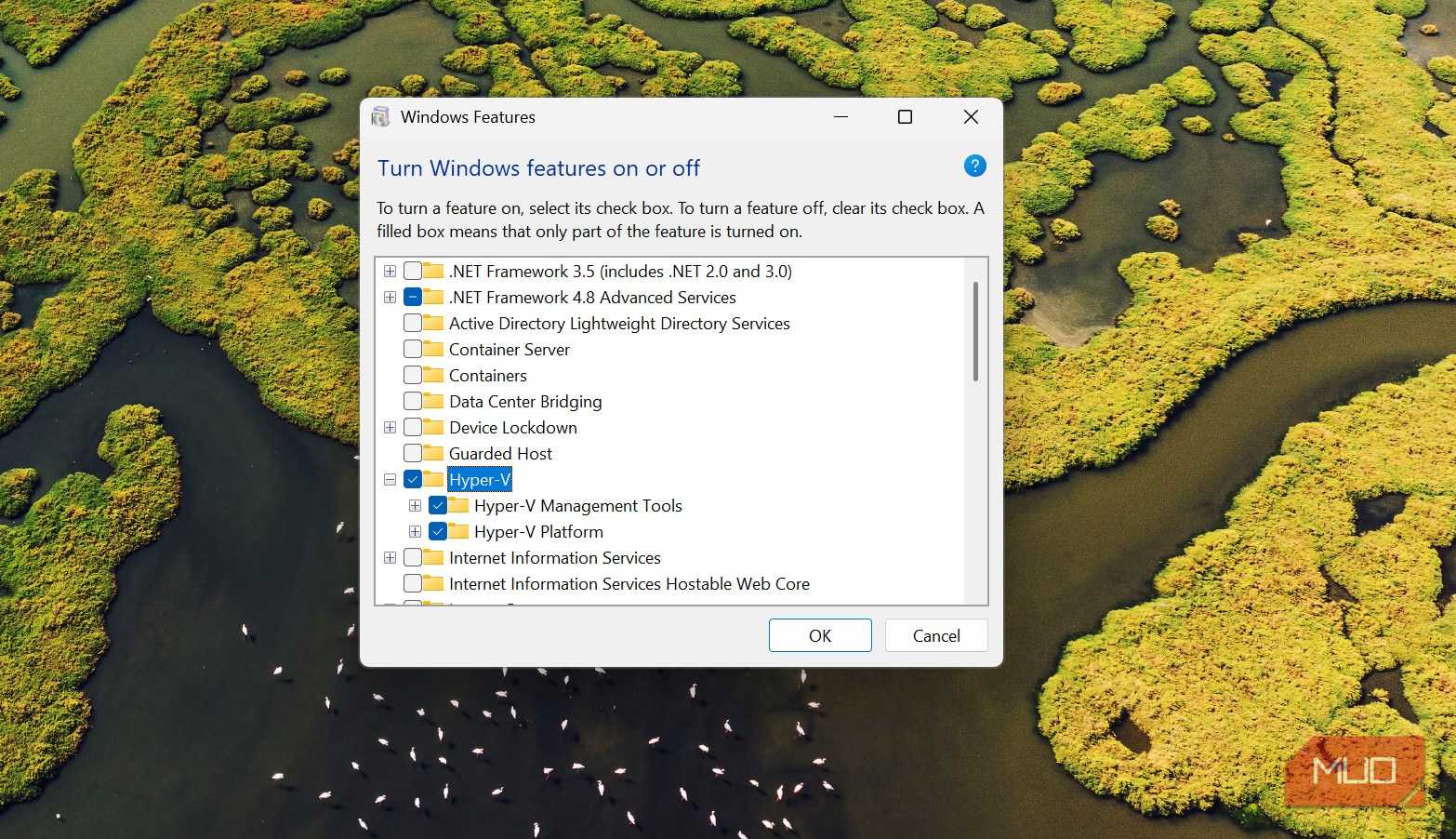 Hyper V feature on WIndows