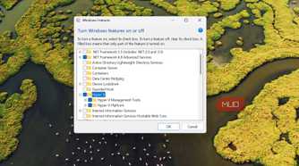 Hyper V feature on WIndows