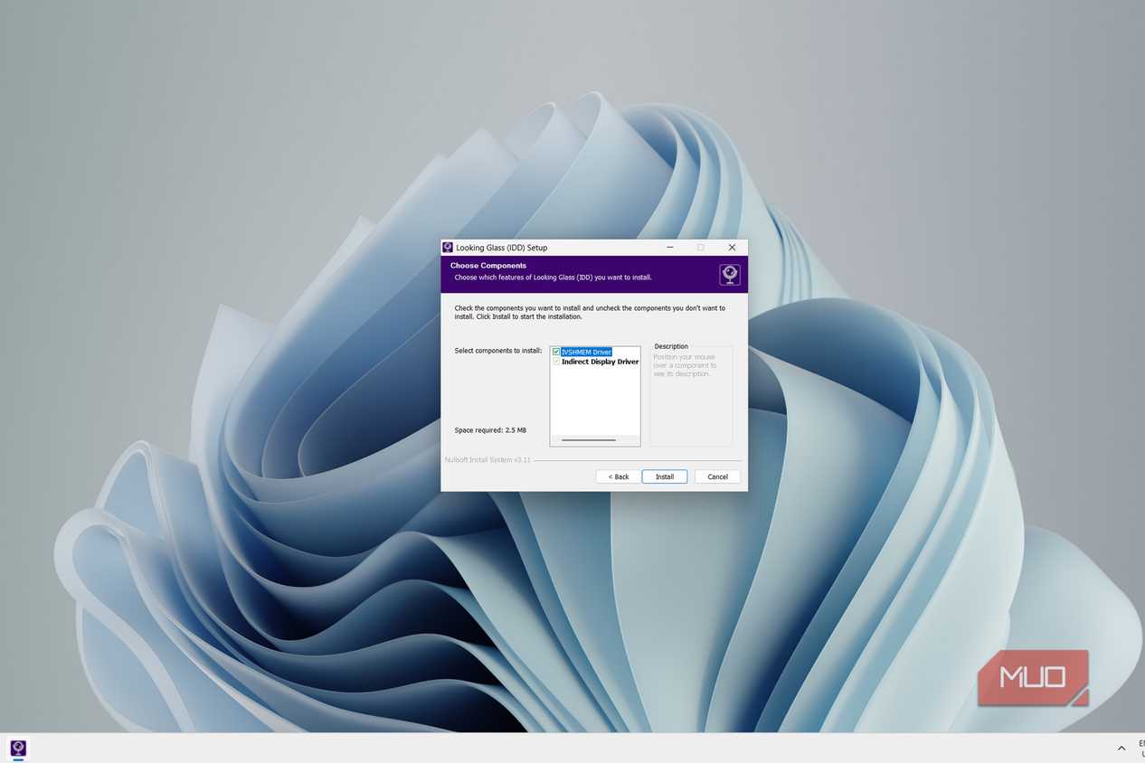 Installing the looking glass IDD driver