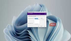 Installing the looking glass IDD driver