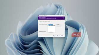 Installing the looking glass IDD driver