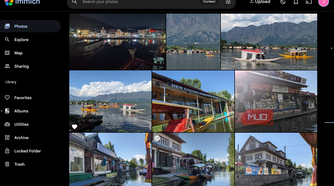 The gallery page on Immich.