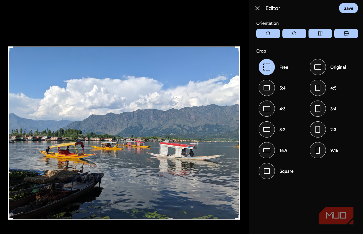The Immich photo editor.