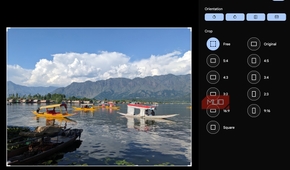 The Immich photo editor.