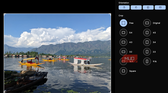 The Immich photo editor.
