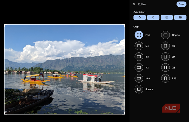 The Immich photo editor.
