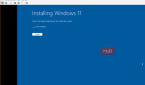 Installing Windows 11 in a virtual machine