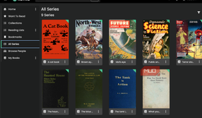 All series displayed on Kavita.