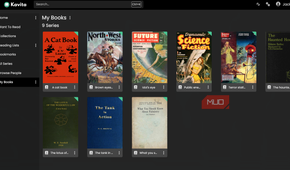 The book selection displayed on Kavita.