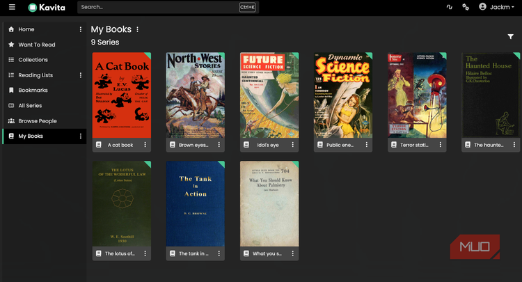 The book selection displayed on Kavita.