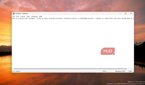 Legacy Notepad editor with text open.