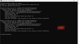 Listing Windows shadows