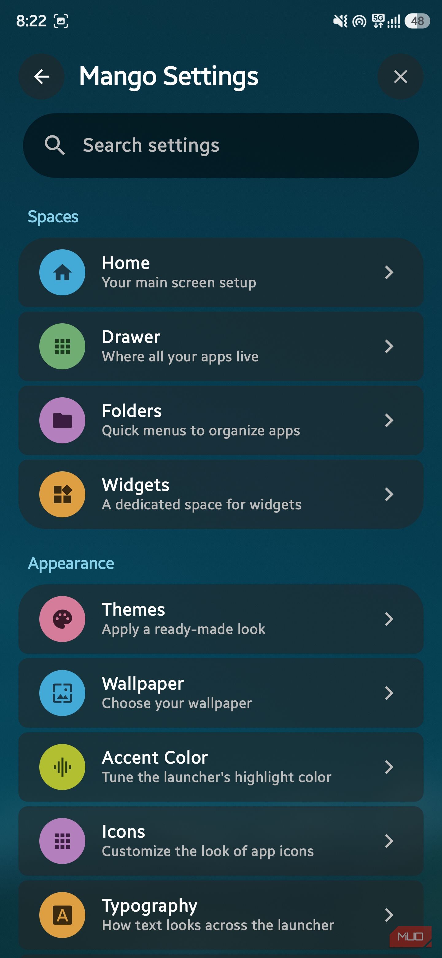 Mango Settings menu showing Spaces and Appearance customization categories