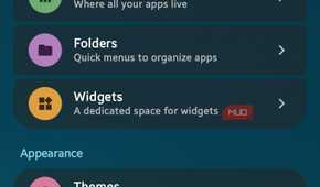 Mango Settings menu showing Spaces and Appearance customization categories