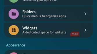 Mango Settings menu showing Spaces and Appearance customization categories