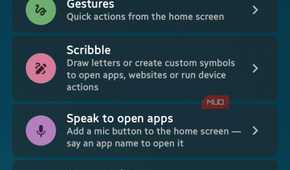 Mango Settings screen showing list of features like Gestures, Scribble, and Private Space