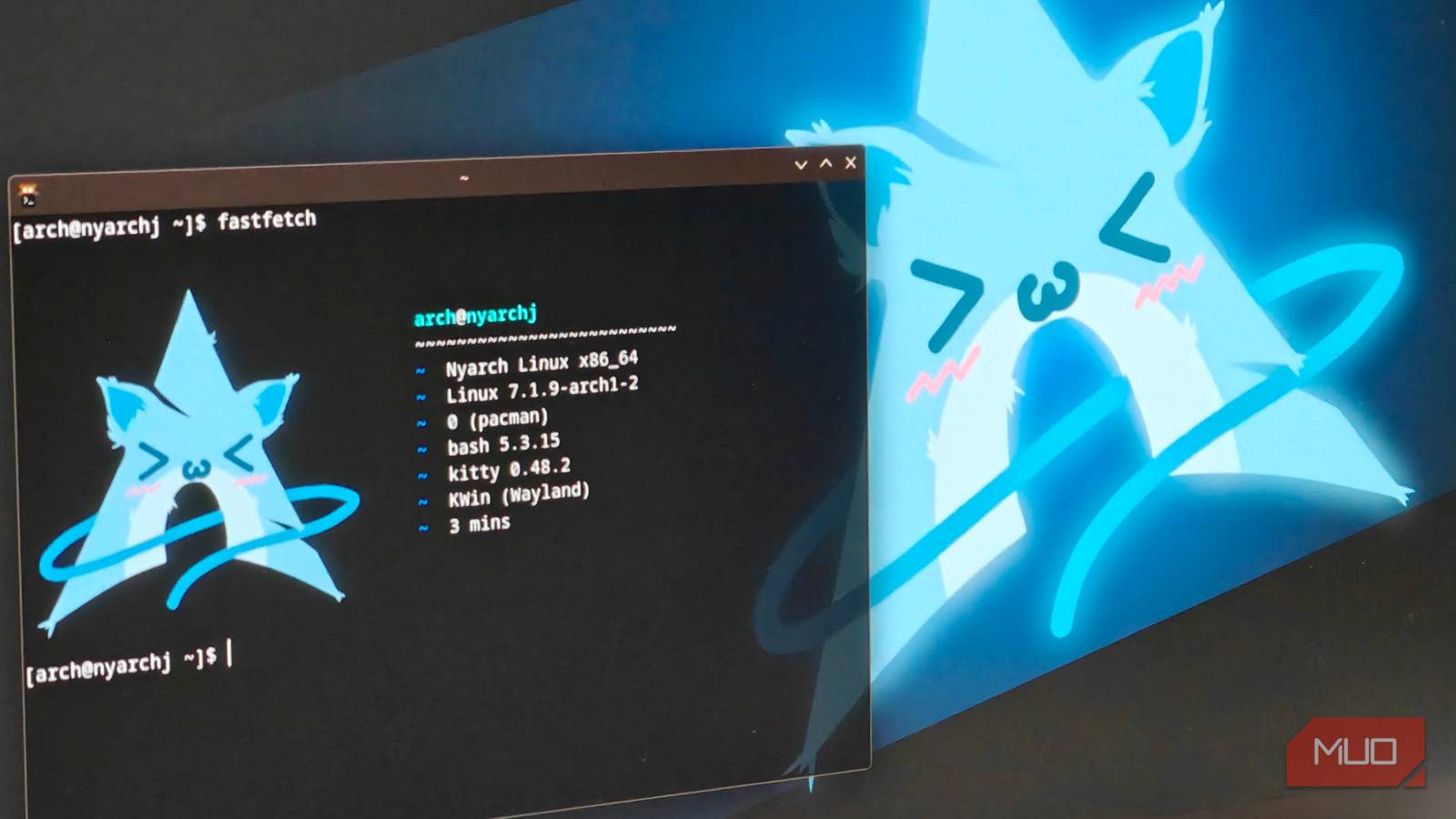Установка Nyarch Linux через Calamares Установочное окно кастомного инсталлятора Calamares