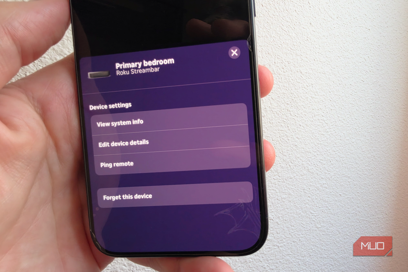ping remote roku