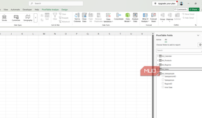 PivotTable Fields in Excel.