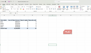 PivotTable in Excel showin reps in the region and those who sold.