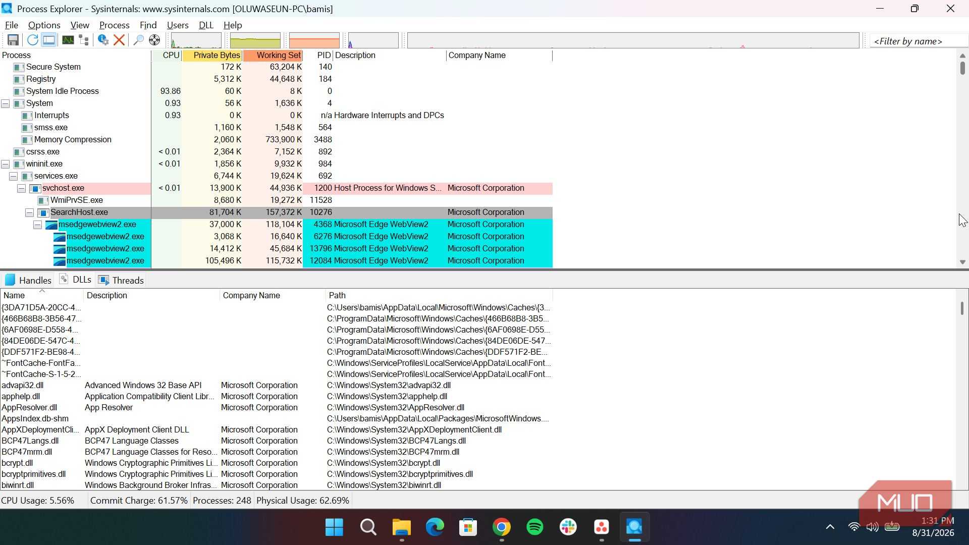Process explorer lower pane